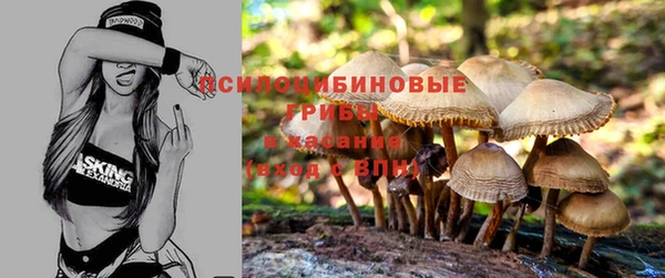 мет Алзамай
