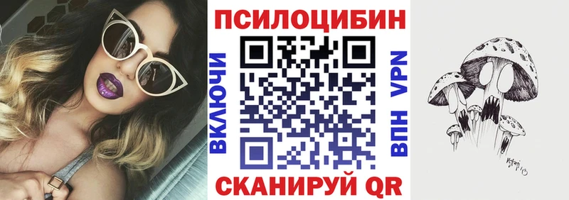 MEGA как войти  Кулебаки  Псилоцибиновые грибы мицелий  купить наркотики цена 