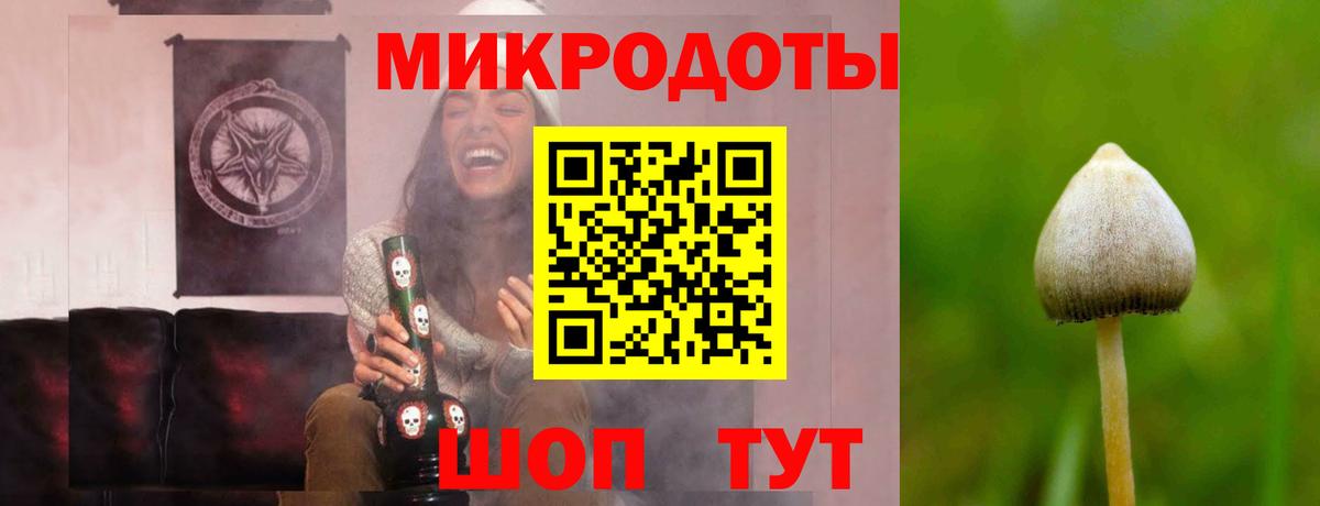 Псилоцибиновые грибы прущие грибы  Вход с VPN  Кулебаки  Псилоцибиновые грибы Psilocybe 